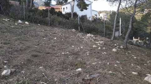 Immagine 3 dell'annuncio