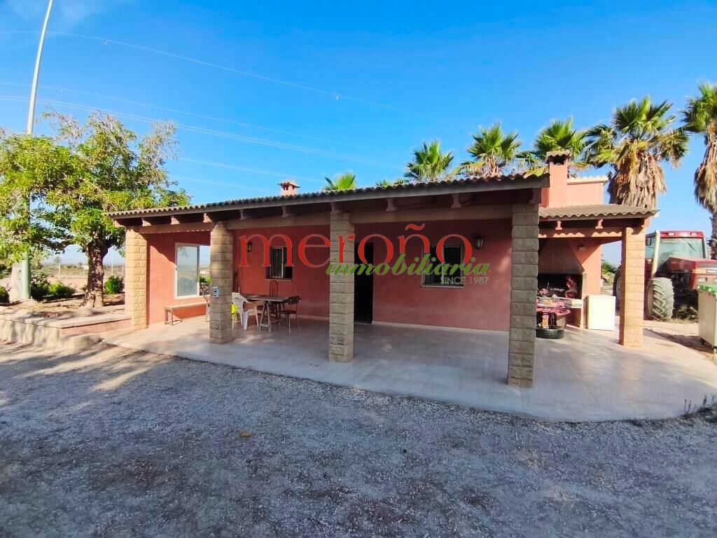 Exterior view of House or chalet for sale in Elche / Elx