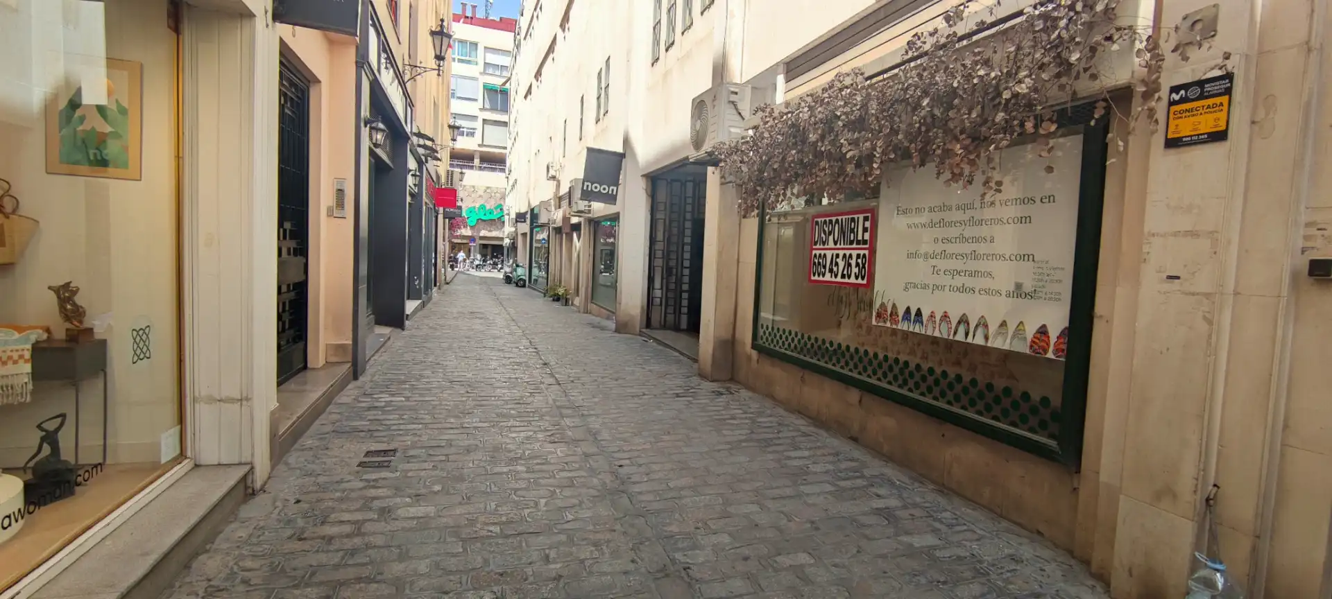 Local comercial en alquiler en Casco Antiguo, imagen 14