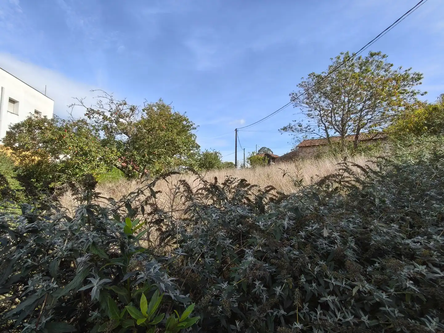 Haus zum Verkauf in Venta de las Ranas - CS VENTA LAS RANAS, imagen 26