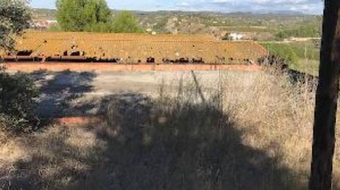 Photo 3 of Residential for sale in D'ascó, Flix, Tarragona