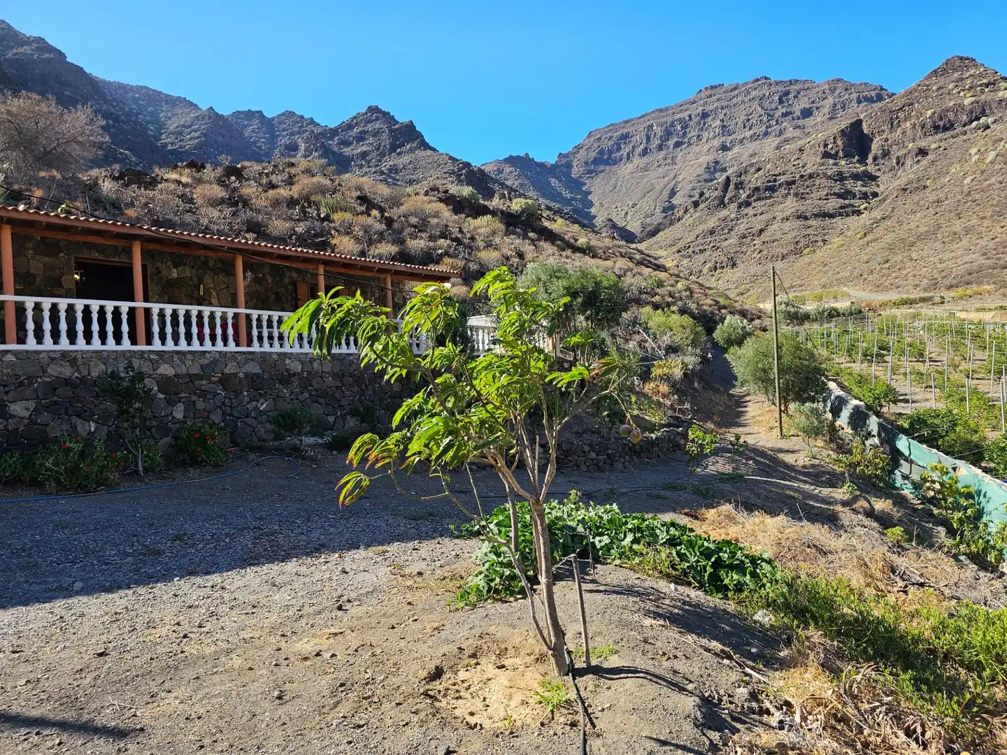 Vista exterior de Finca rústica en venta en La Aldea de San Nicolás  con Jardín privado, Terraza y Trastero