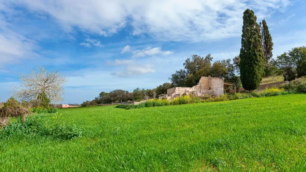 Rural land for sale in Muro, imagen 14