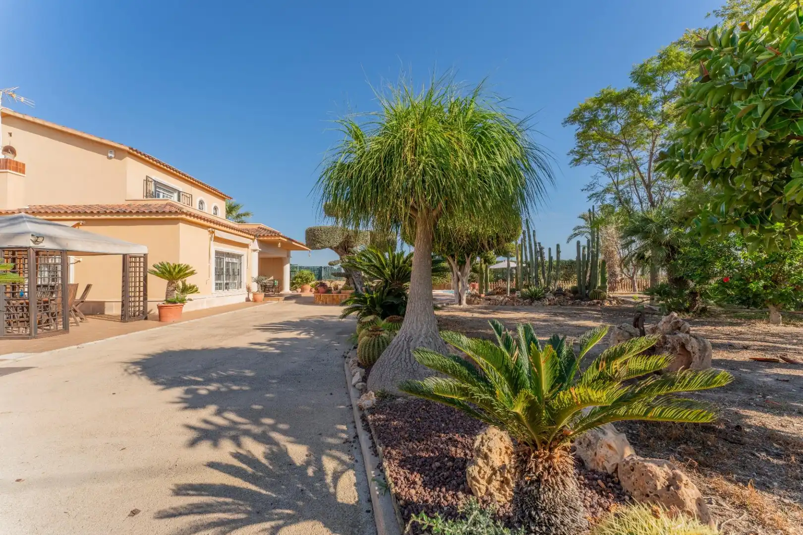 Vista exterior de Casa o chalet en venta en Elche / Elx con Trastero, Piscina y Balcón