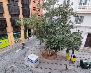 Vista exterior de Pis de lloguer en Málaga Capital amb Aire condicionat, Moblat i Forn