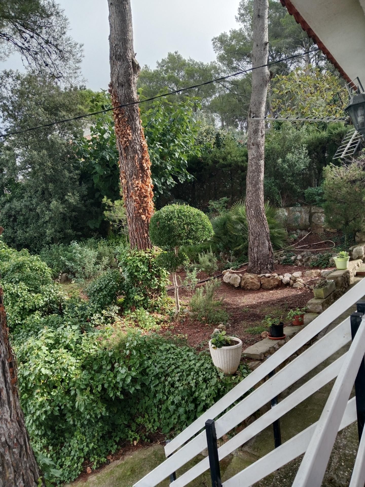 Jardí de Casa o xalet en venda en El Montmell