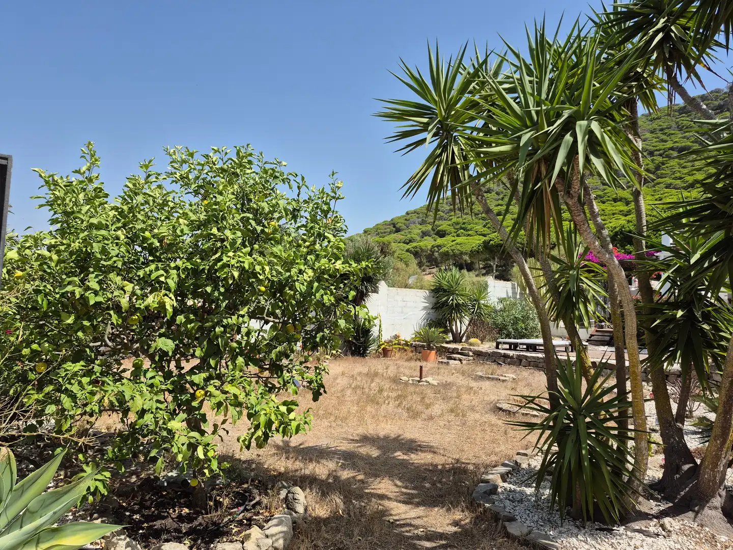 Garden of Country homes for sale in Barbate  with Terrace