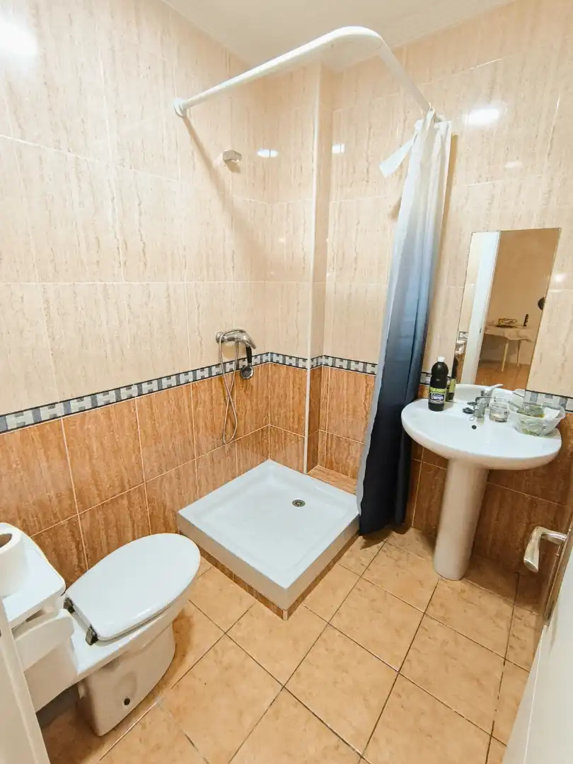 Bathroom of Commercial properties for sale in Palencia