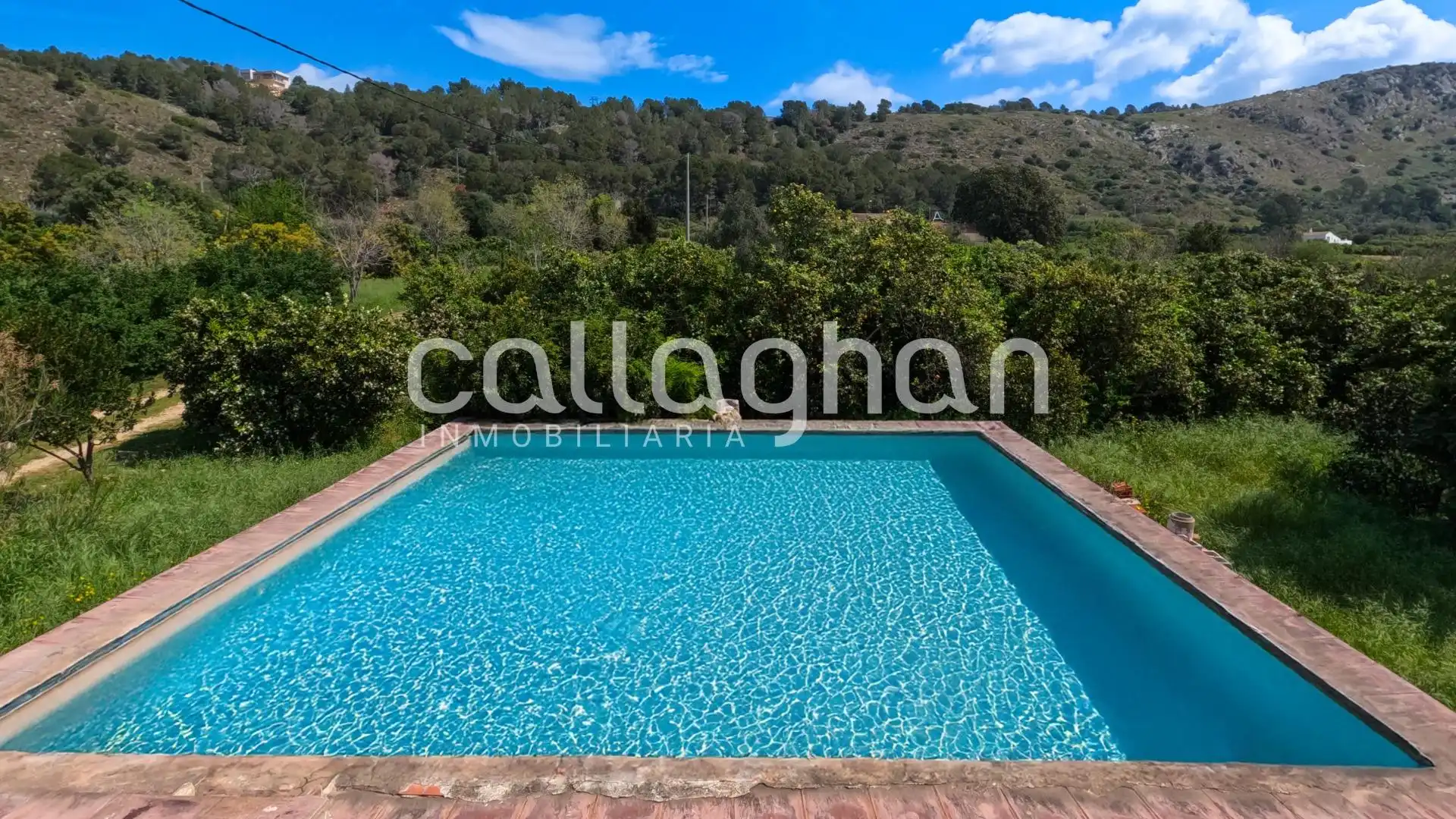 Piscina de Casa o chalet en venta en Alzira con Calefacción, Jardín privado y Terraza