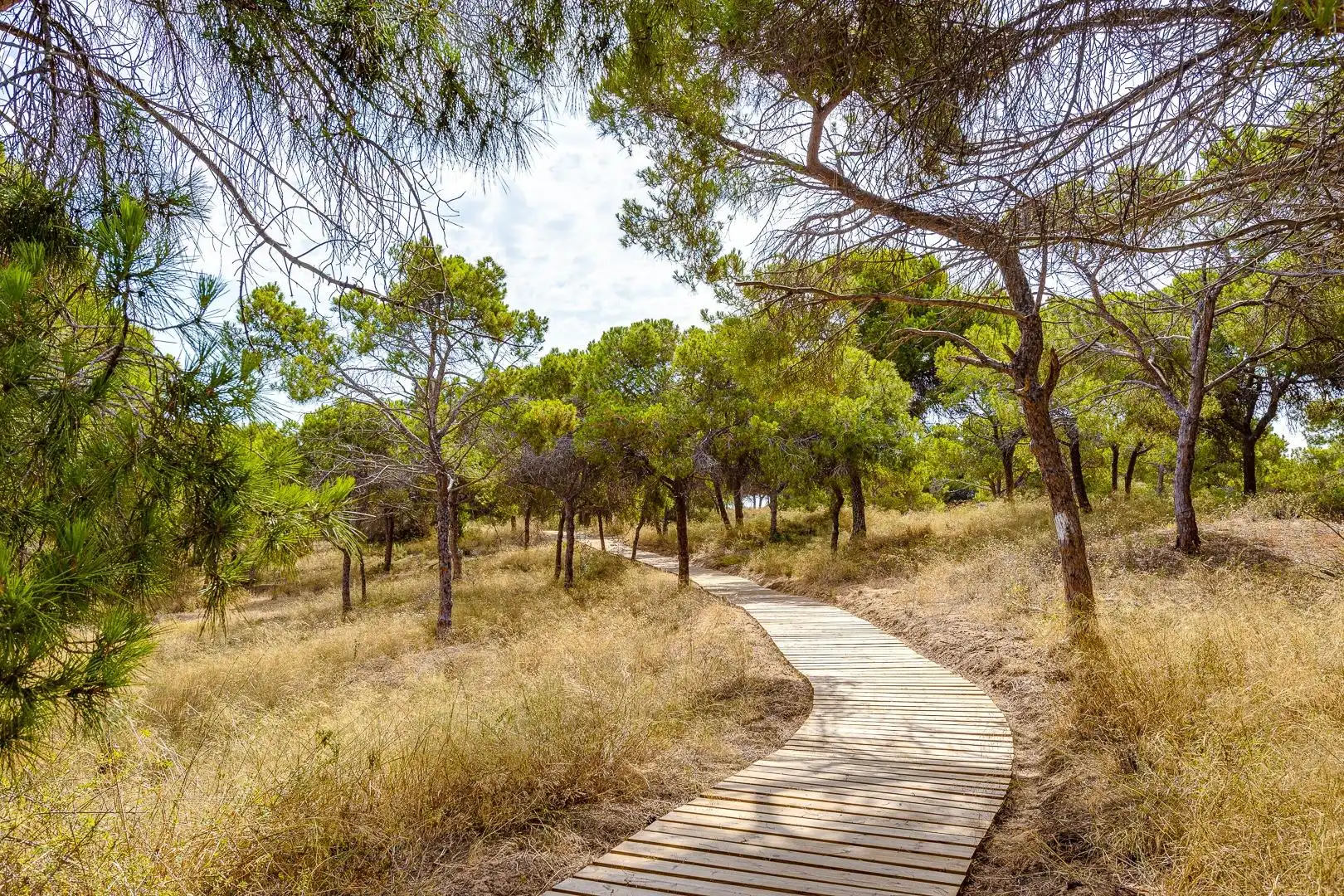 Casa a schiera con terrazza in vendita a Calle La Serviola, imagen 60