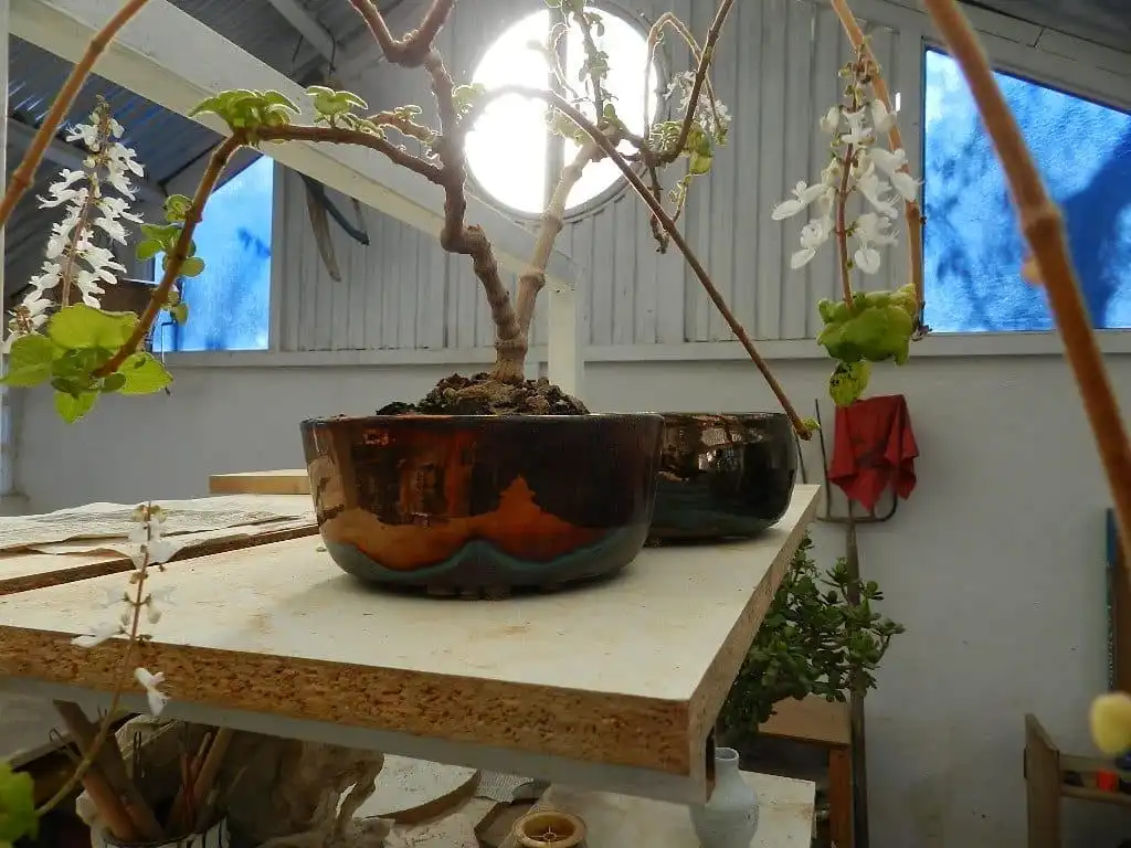 Casa rústica en venda a Alcalá la Real, imagen 9