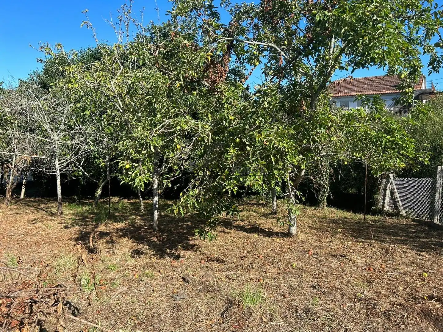 Casa o xalet en venda en Vilaboa amb Jardí privat