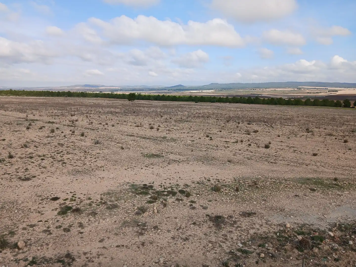 Residential land for sale in Yecla, imagen 31