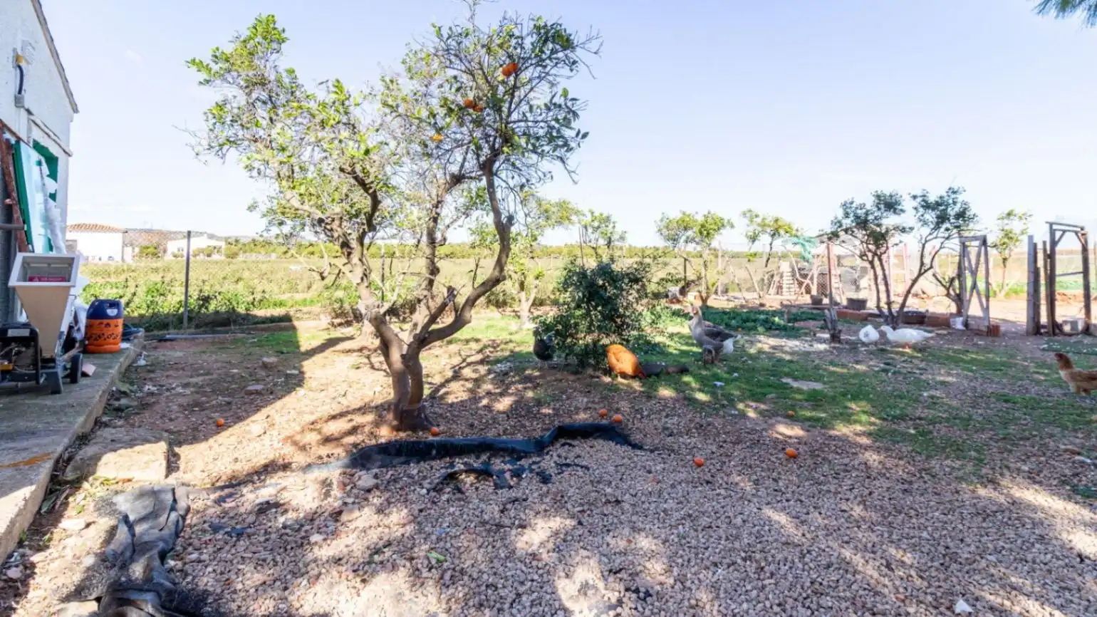Maison rustique avec jardin à vendre à Pego, imagen 4