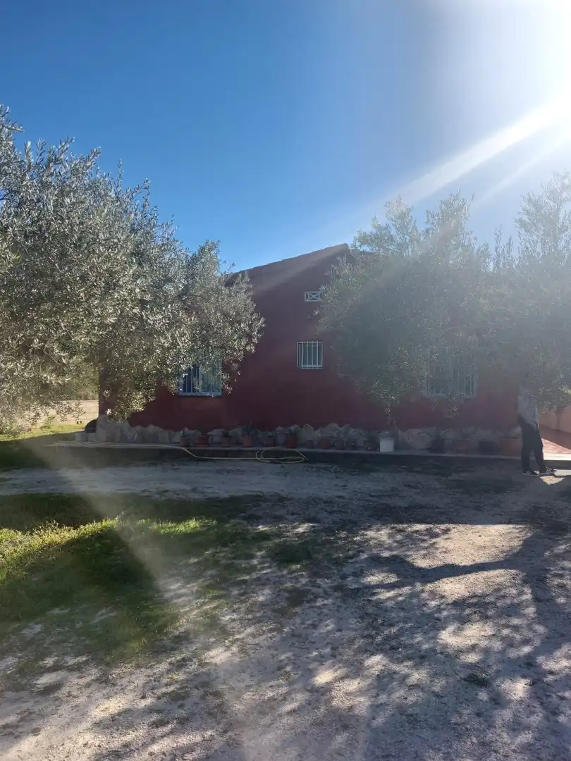 Exterior view of Houses for sale in Planes  with Air Conditioner, Private garden and Swimming Pool