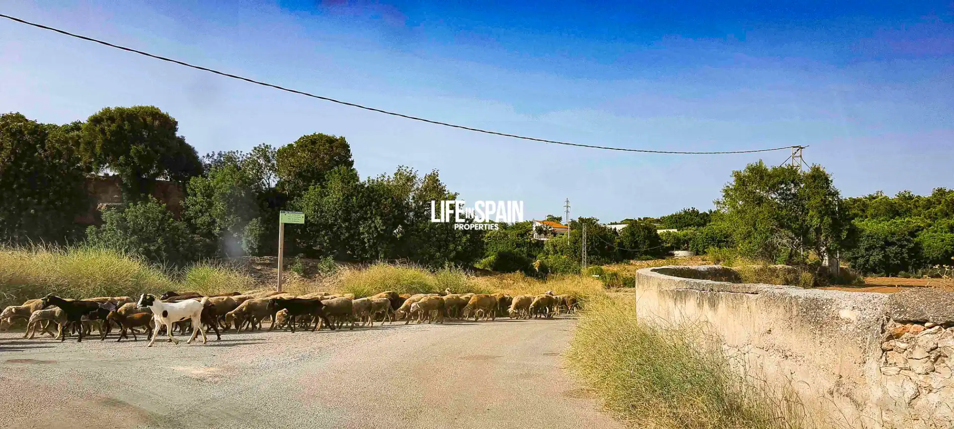 Casa rustica con piscina in vendita a Masdenverge, imagen 72