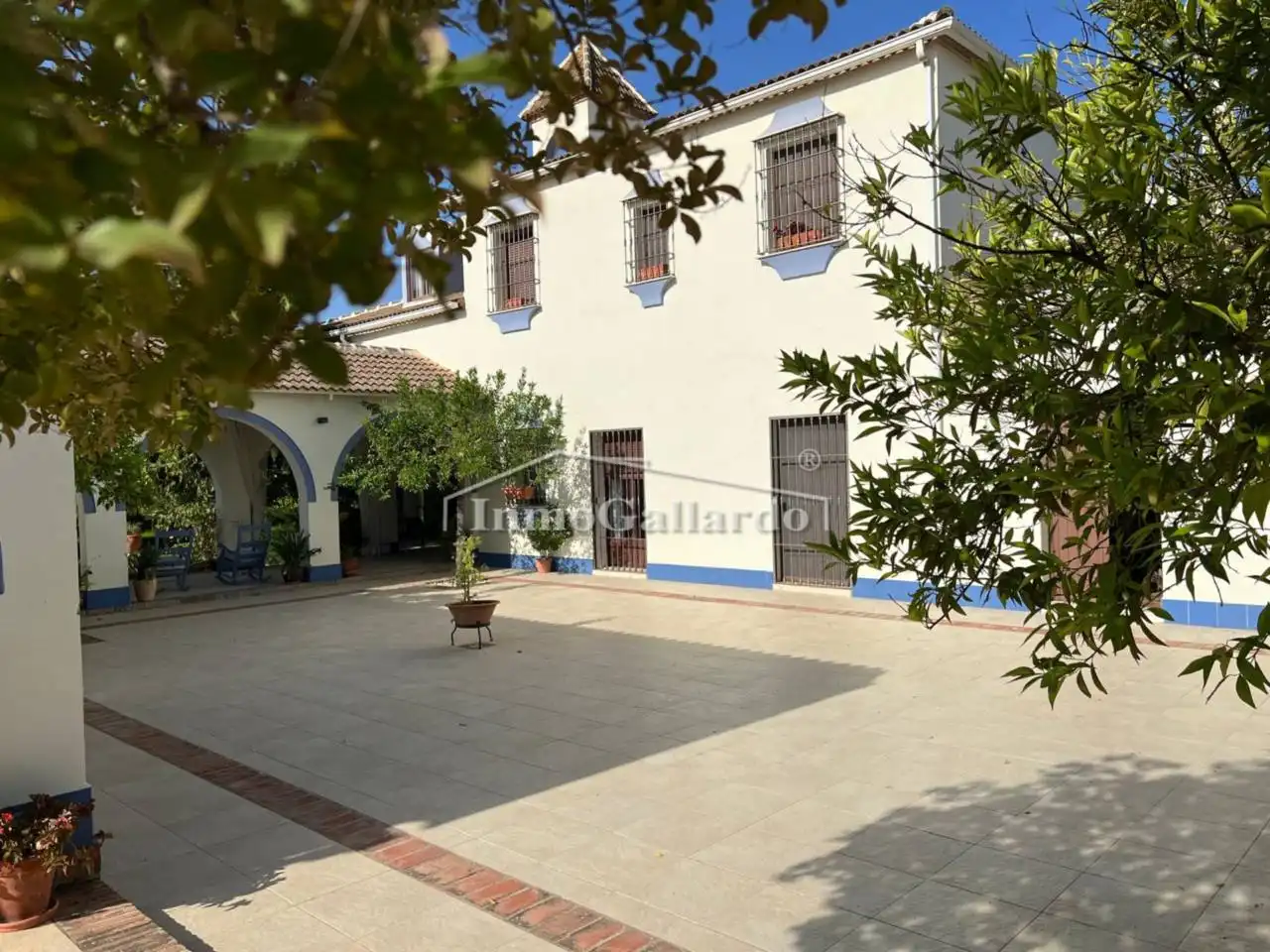 Exterior view of Buildings for sale in Lucena