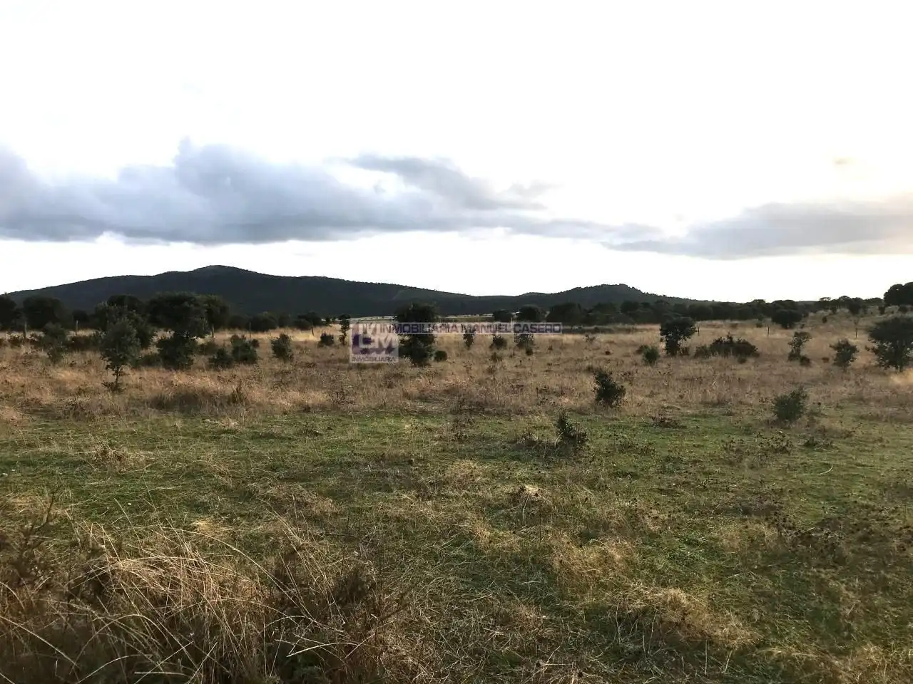 Terreni e lotti in vendita a Valdesalor - Rincón de Ballesteros