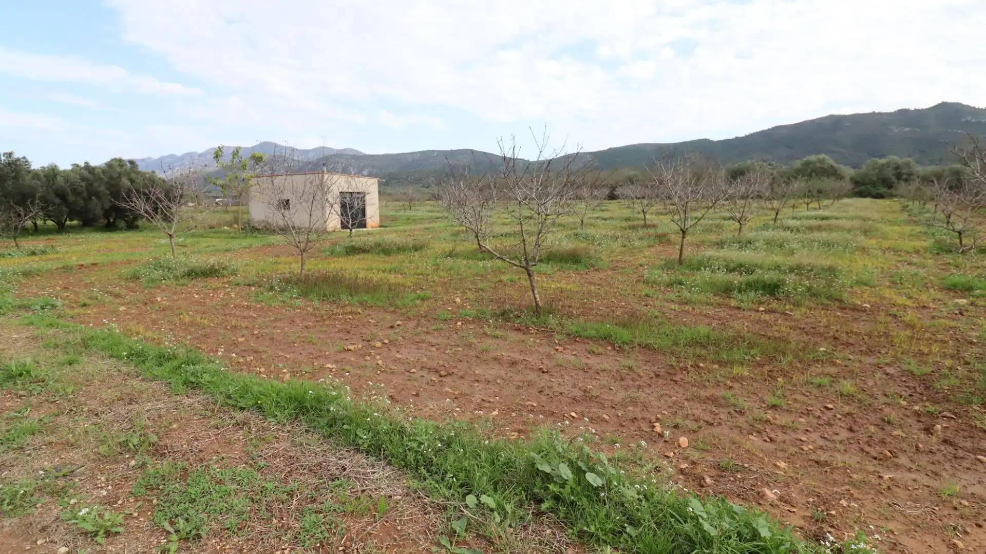 Terreny rústic en venda a Ulldecona, imagen 2