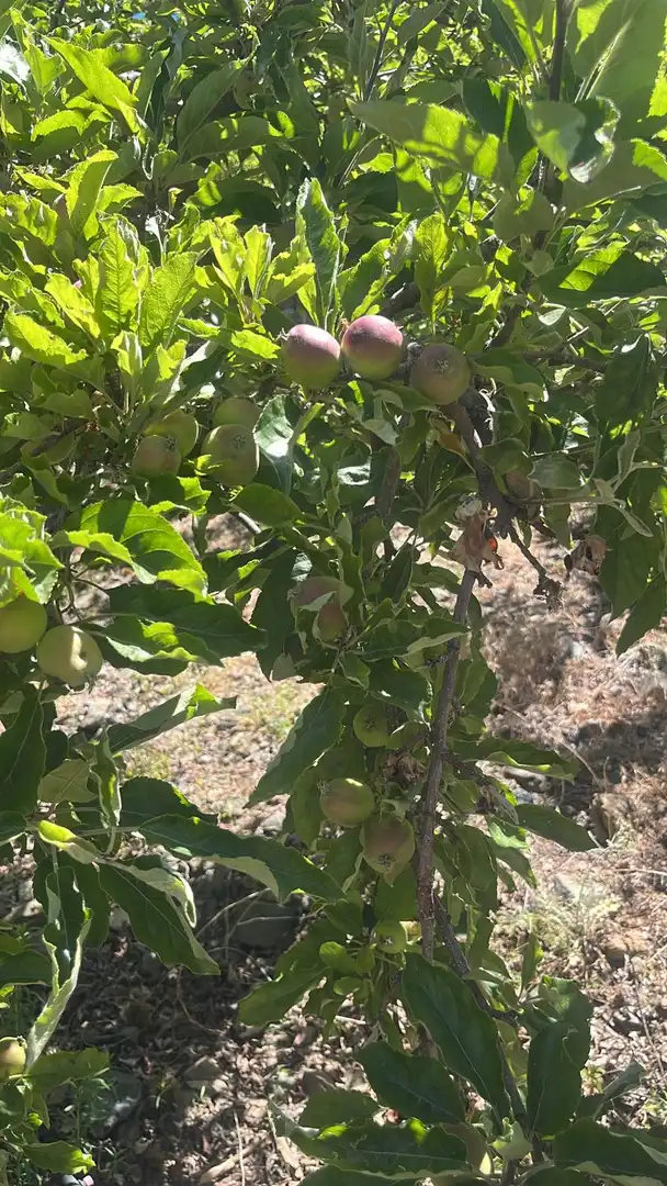 Terreni e lotti in vendita a Nigüelas, imagen 35