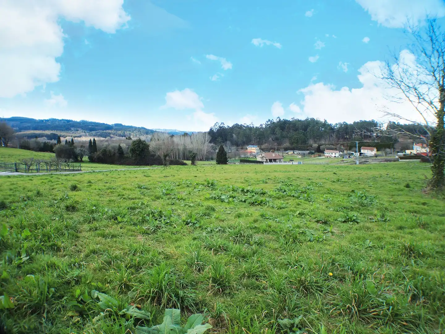 Terreni e lotti in vendita a Monte, imagen 6