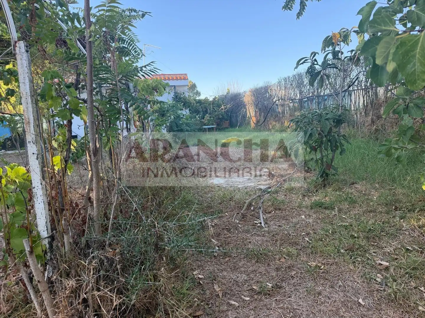 Terreno rustico in vendita a Las Tres Piedras - Costa Ballena, imagen 10