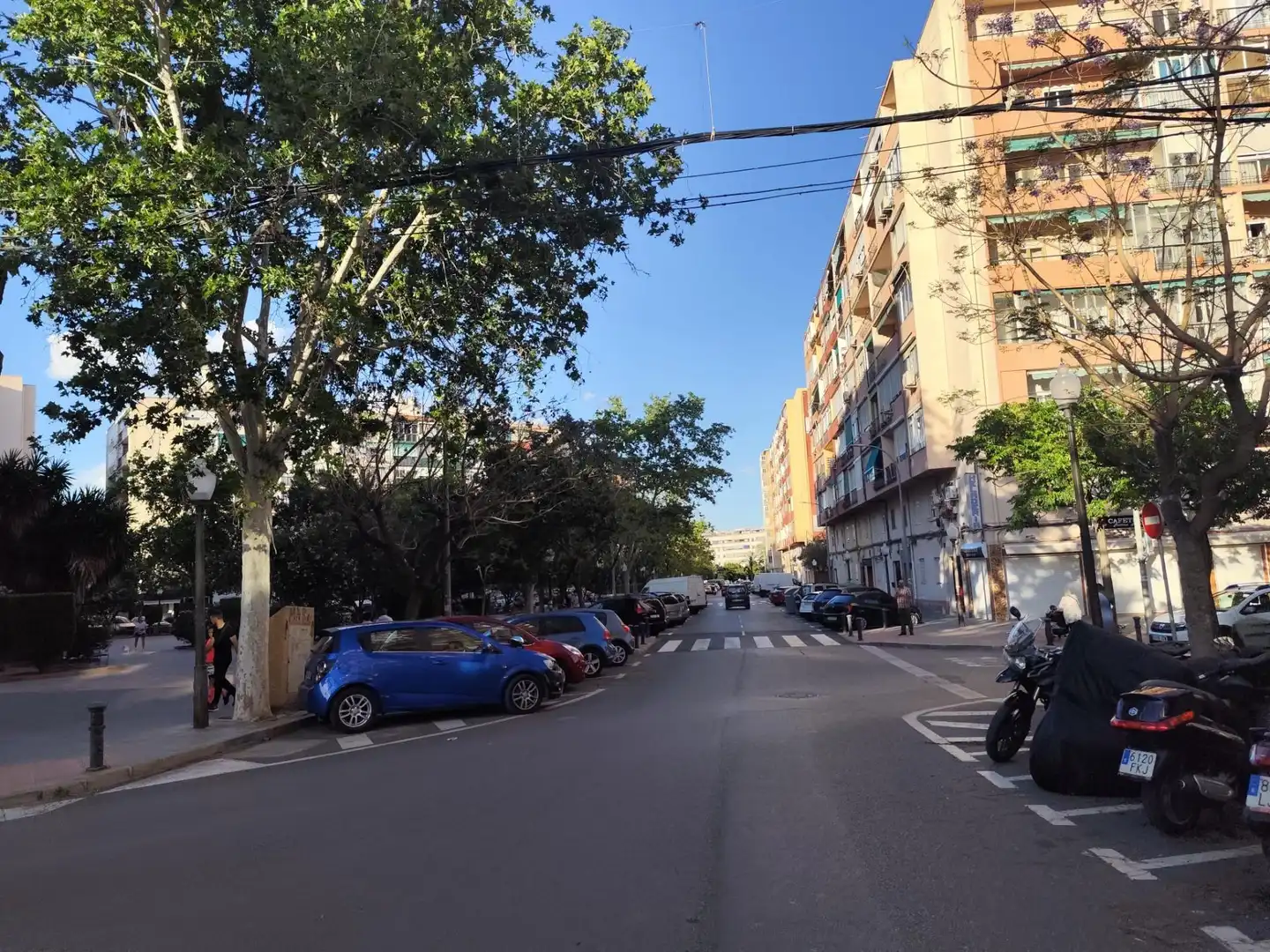 Pis en venda a Pla - Carolinas, imagen 6