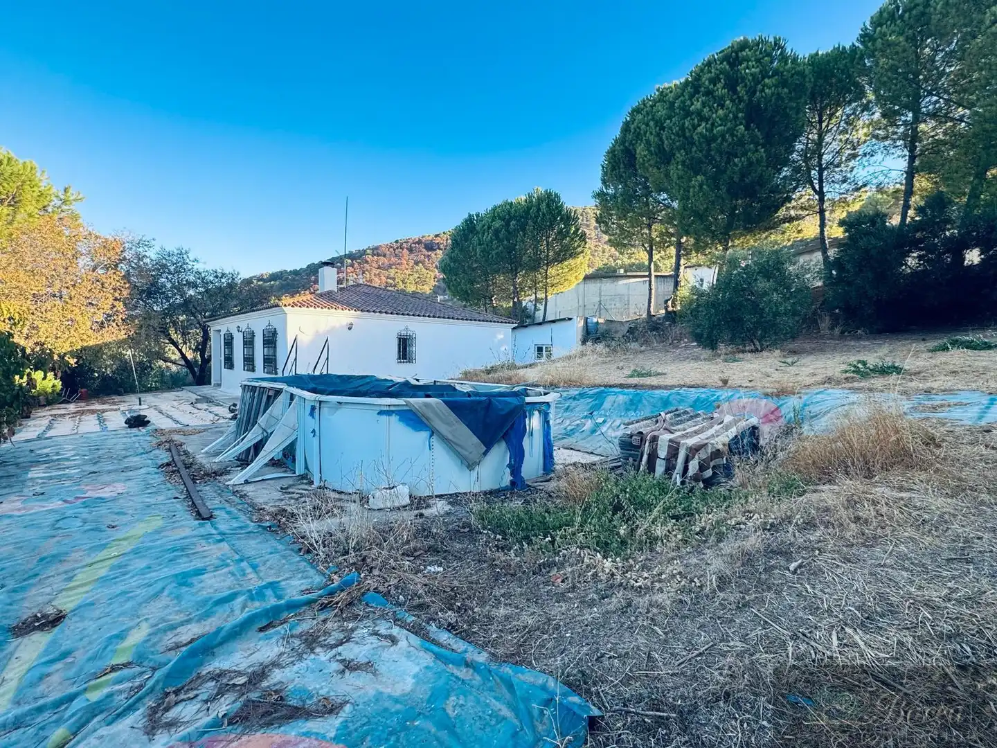 Villa mit Pool zum Verkauf in Rute, imagen 19