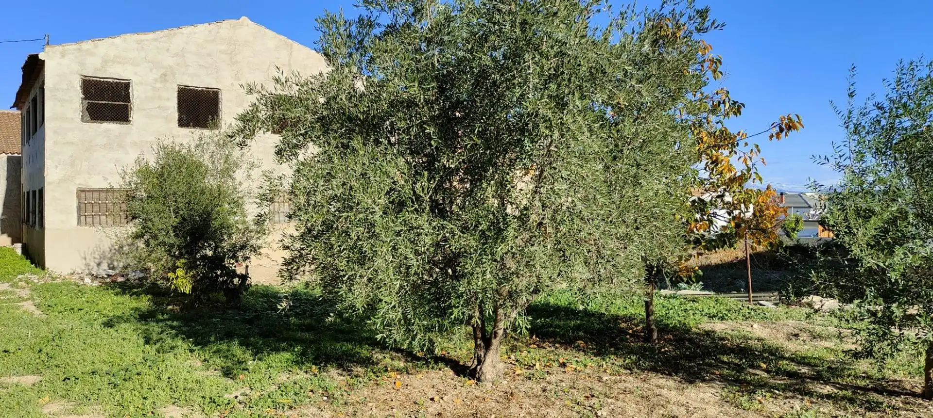 Casa con giardino in vendita a Alguazas