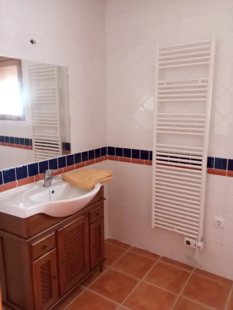 Bany de Casa o xalet de lloguer en Cortes de Baza amb Moblat, Es permeten mascotes i Piscina comunitària