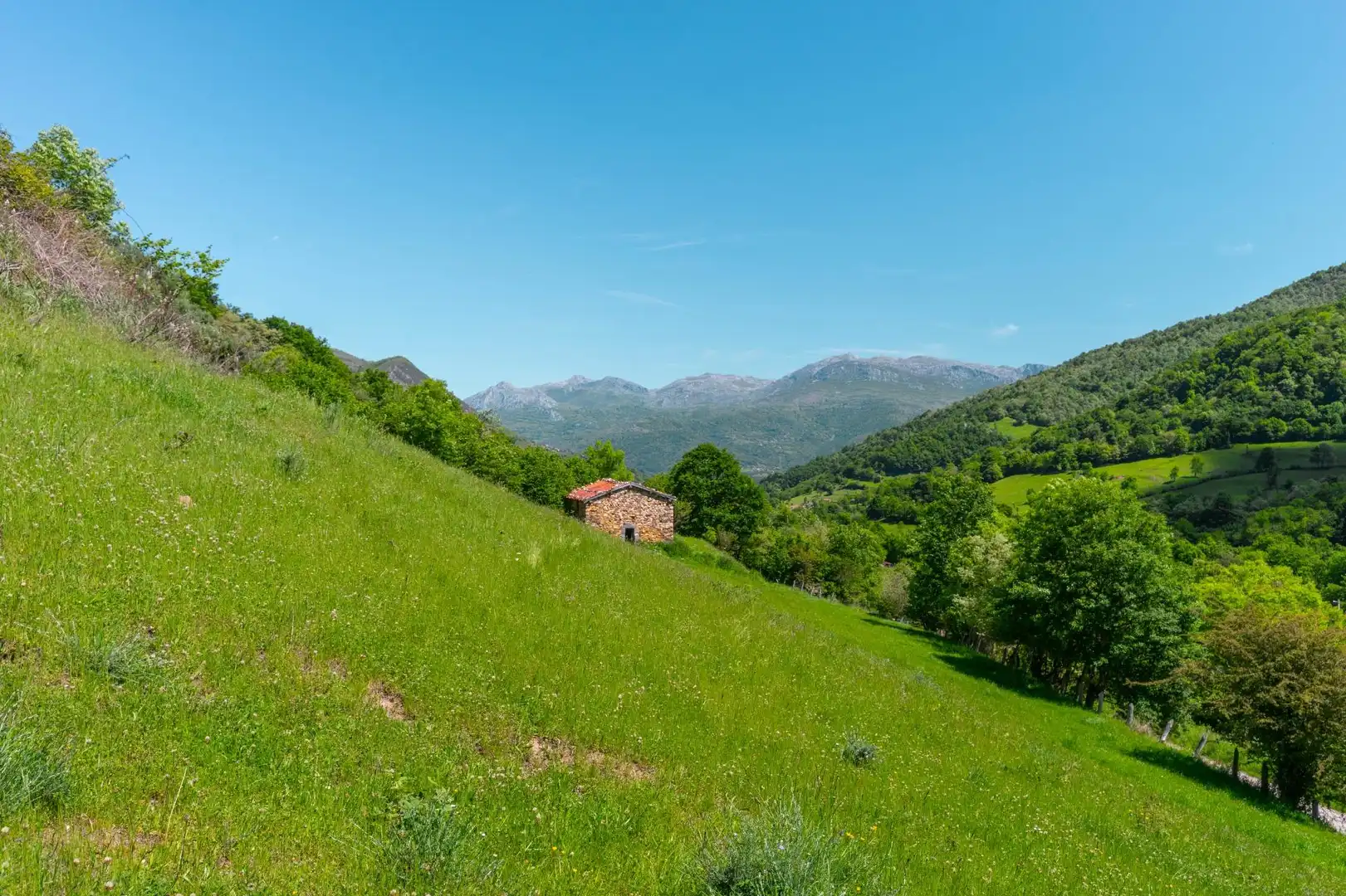 Casa o chalet en venta en Quirós