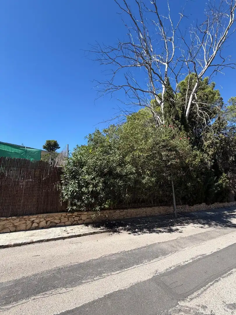 Terreno residencial en venta en Urbanizacion Urbanización Tancat del Alter, imagen 8