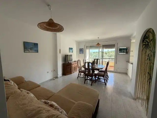 Sala d'estar de Apartament en venda en Alcanar amb Terrassa