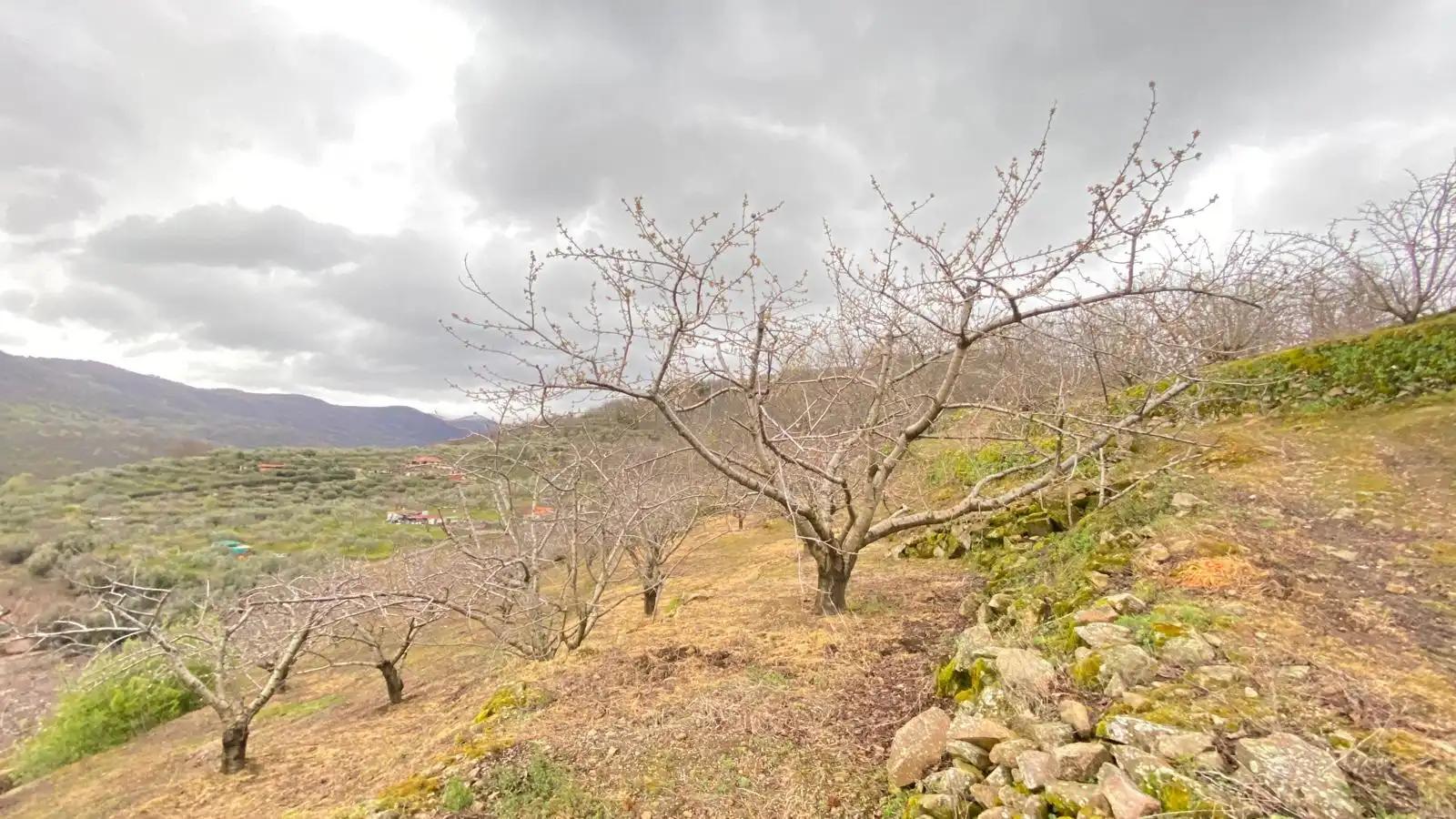 Terreni e lotti in vendita a Hervás, imagen 4