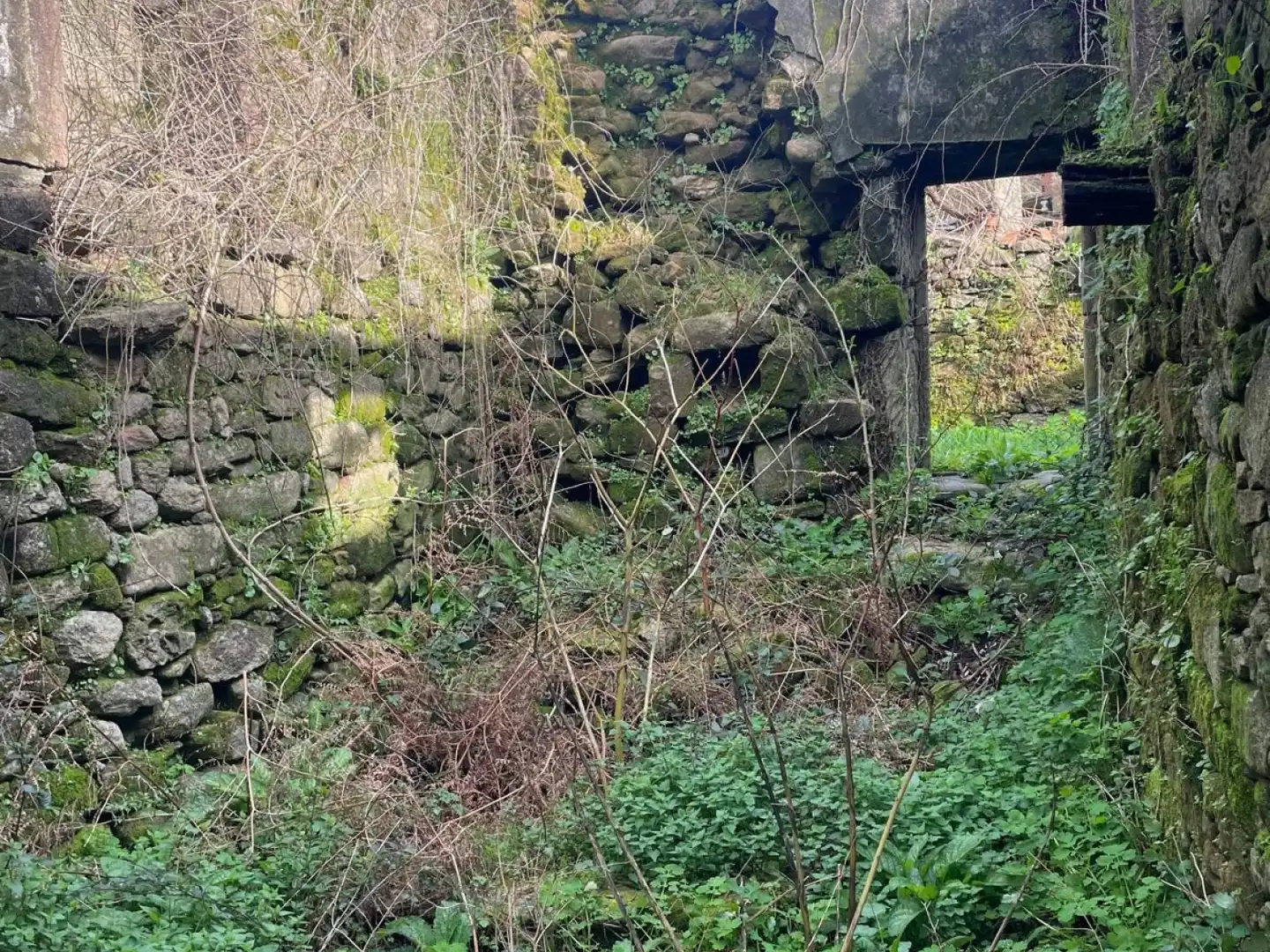 Residential for sale in Padrón