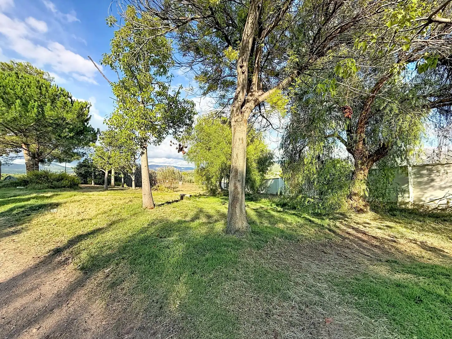 Finca rústica en venta en Castalla, Alicante