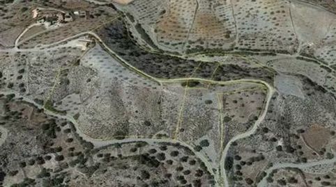 FINCA RÚSTICA LOS GÁZQUEZ, OPCIÓN CORTIJO, immagine 4