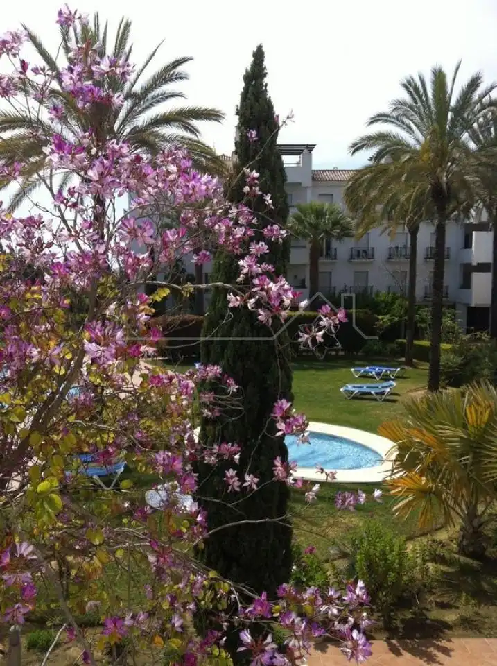 Pis amb piscina en venda a Nueva Andalucía, imagen 14