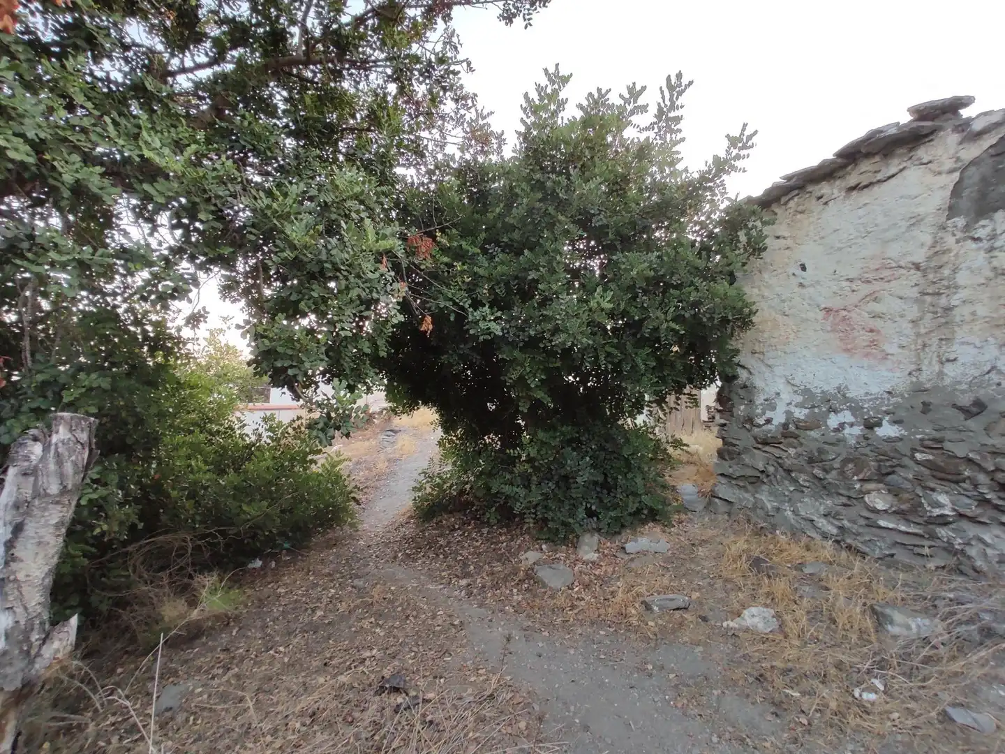 Terrenys i solars en venda a REAL (MEL), imagen 9