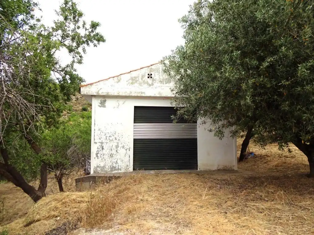 Lands and plots for sale in Pinos Genil, imagen 5