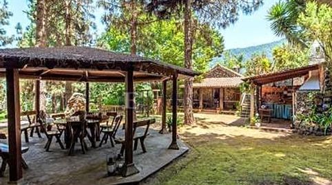 Foto 4 de Finca rústica en venta en El Bebedero - Pinolere - Aguamansa, La Orotava