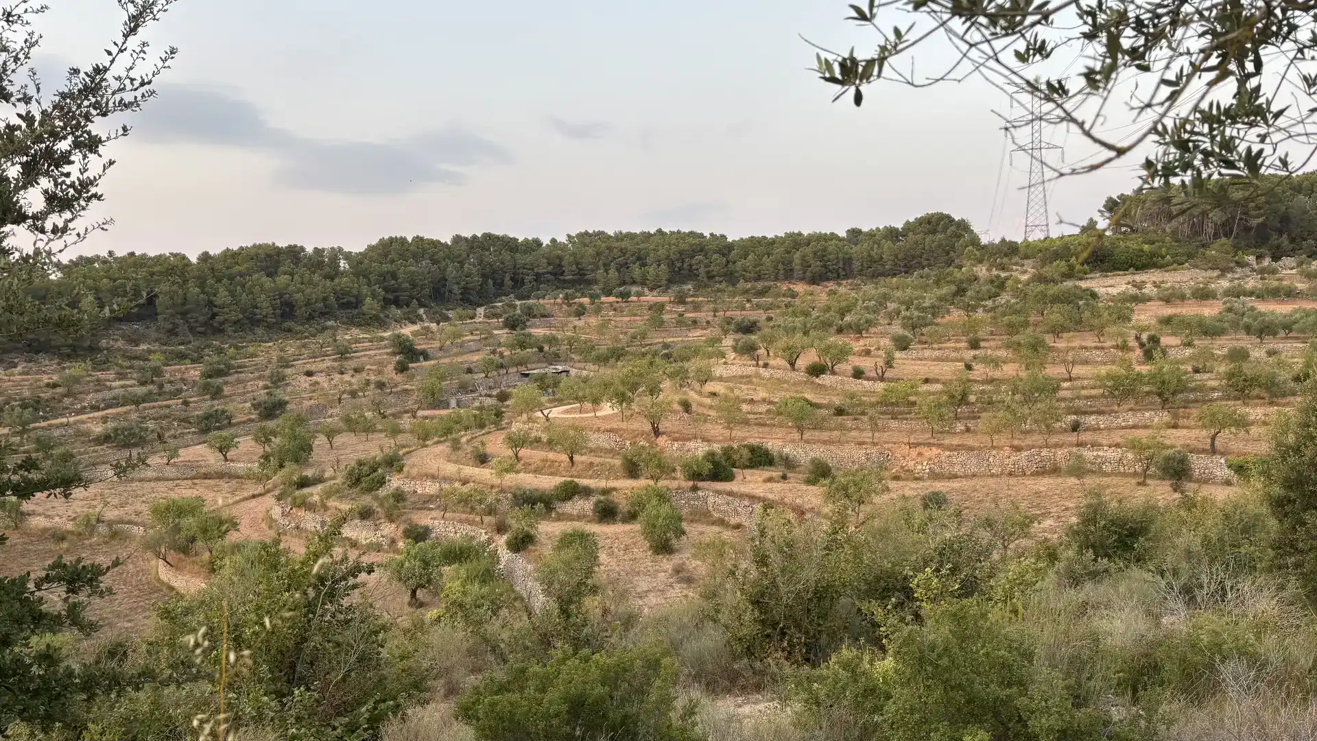 Finca rústica en venda en La Fatarella amb Jardí privat