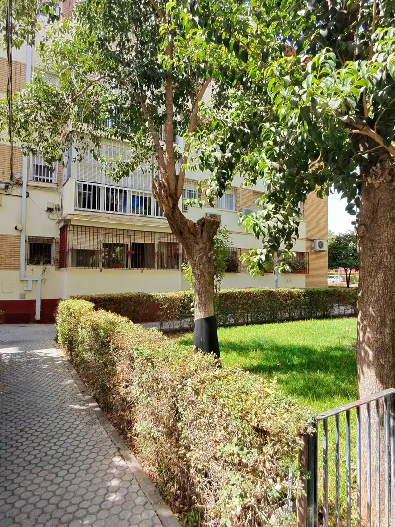 Vista exterior de Piso para compartir en Sur