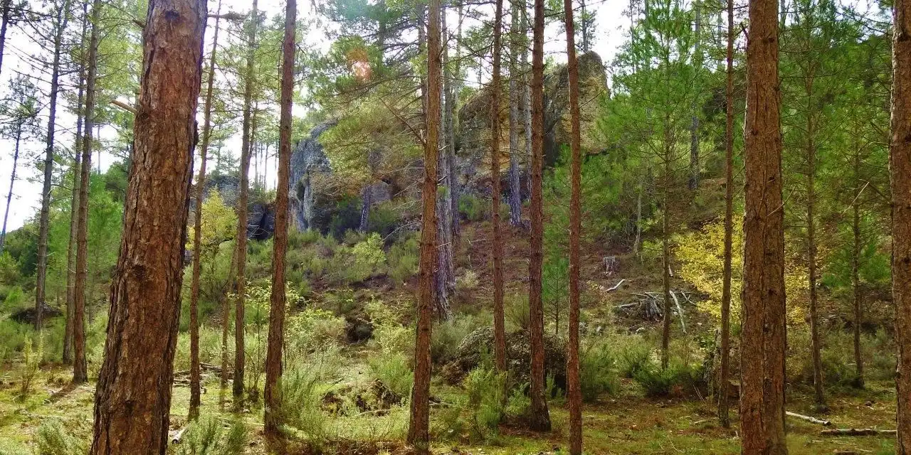 Finca rústica en venda en Villar de Olalla