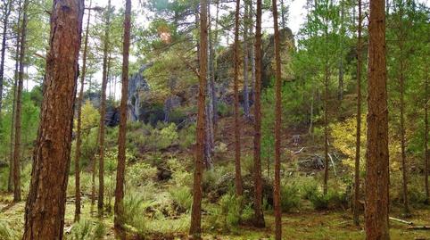 Foto 4 de Finca rústica en venda a Villar de Olalla, Cuenca