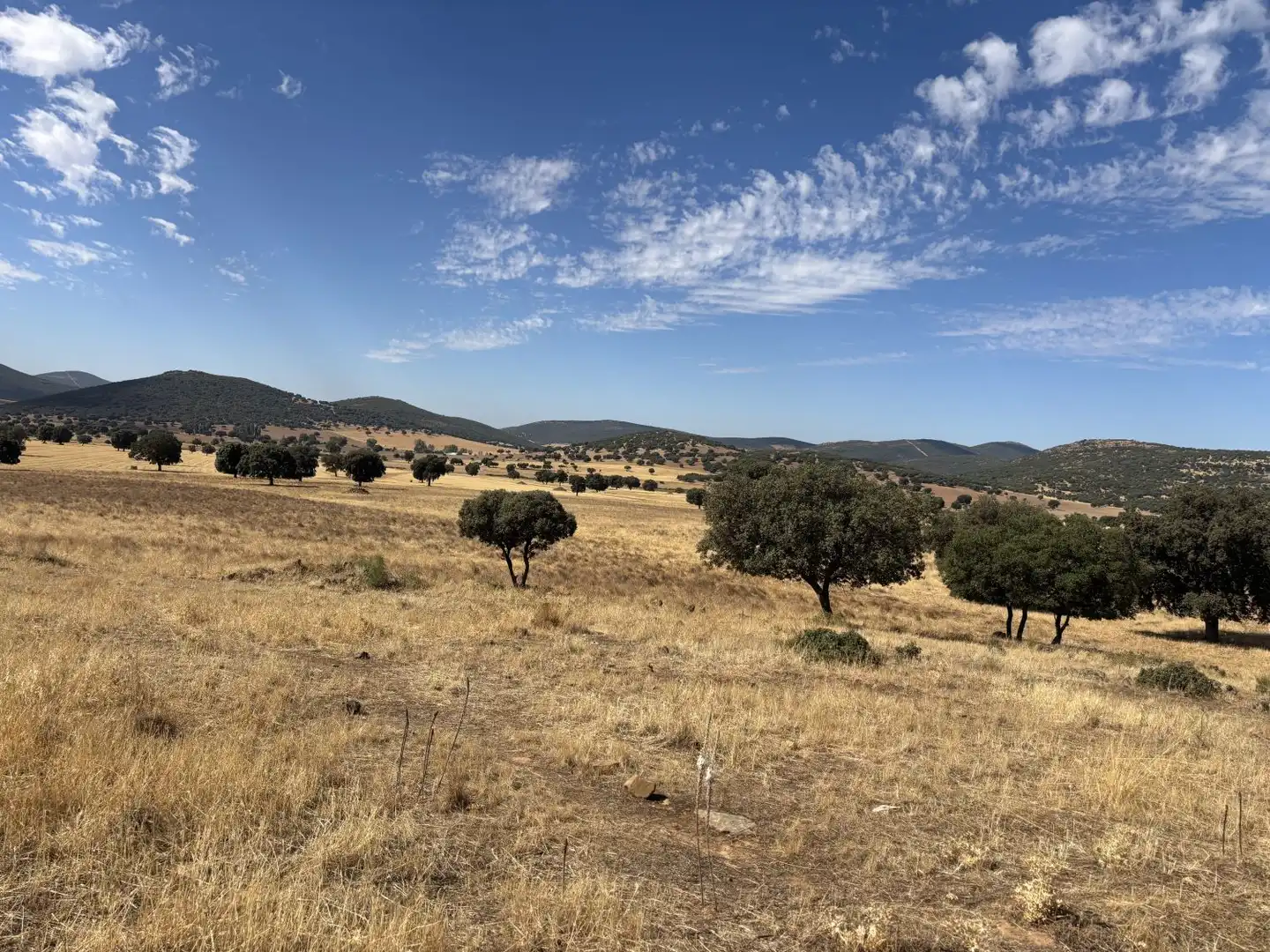 Country homes for sale in Orgaz