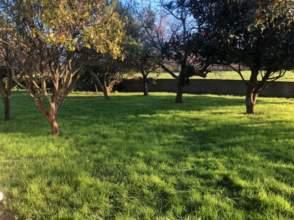 Photo 3 of Single-family semi-detached to rent in Deva, Gijón