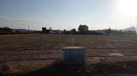 Foto 4 de Terreno en venta en La Algoda - Matola - Llano de San José, Elche / Elx