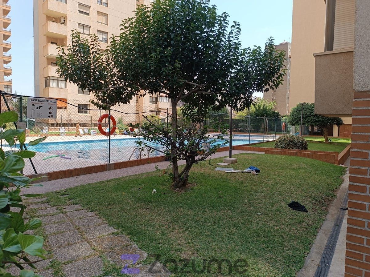 Swimming pool of Flat to rent in Castellón de la Plana / Castelló de la Plana  with Heating, Private garden and Terrace