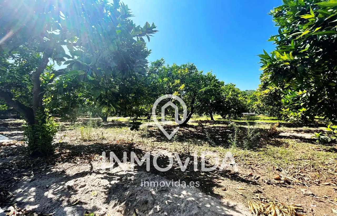 Villa con giardino in vendita a Avinguda de Barxeta 25, imagen 21